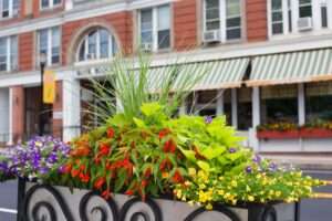 Move to Springfield VT Downtown